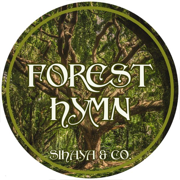 Favorites Collection: FOREST HYMN
