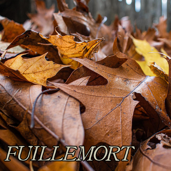 Falloween Collection: FEUILLEMORT