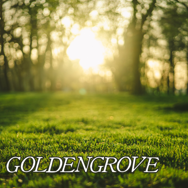 Fan Collection: GOLDENGROVE