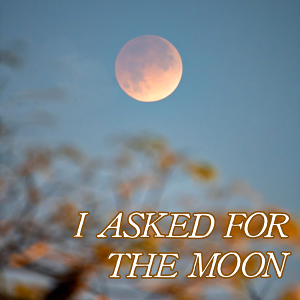 Fan Collection: I ASKED FOR THE MOON