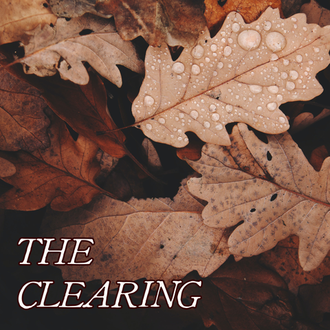 Autumn Collection: THE CLEARING