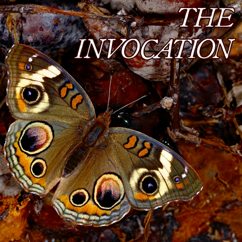 Autumn Collection: THE INVOCATION