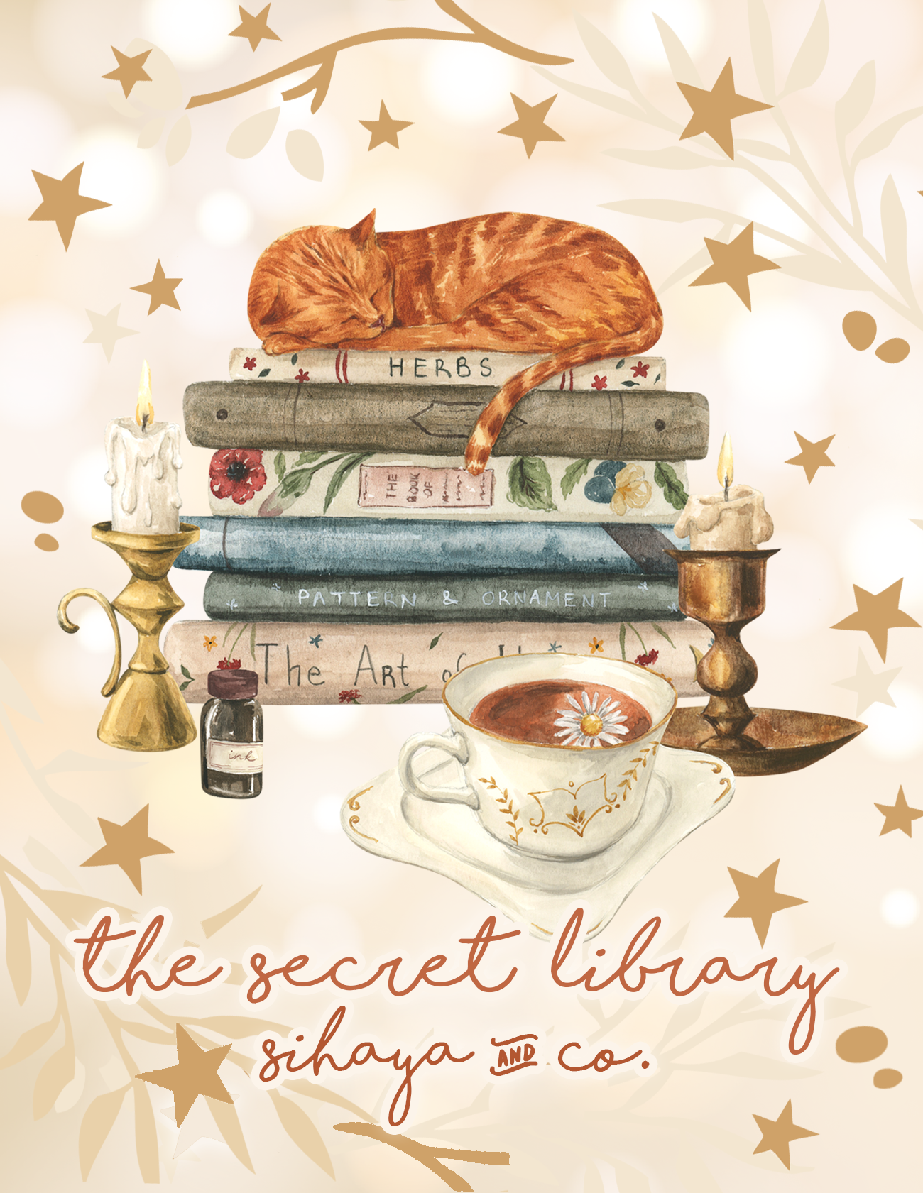 The Winter Box: THE SECRET LIBRARY