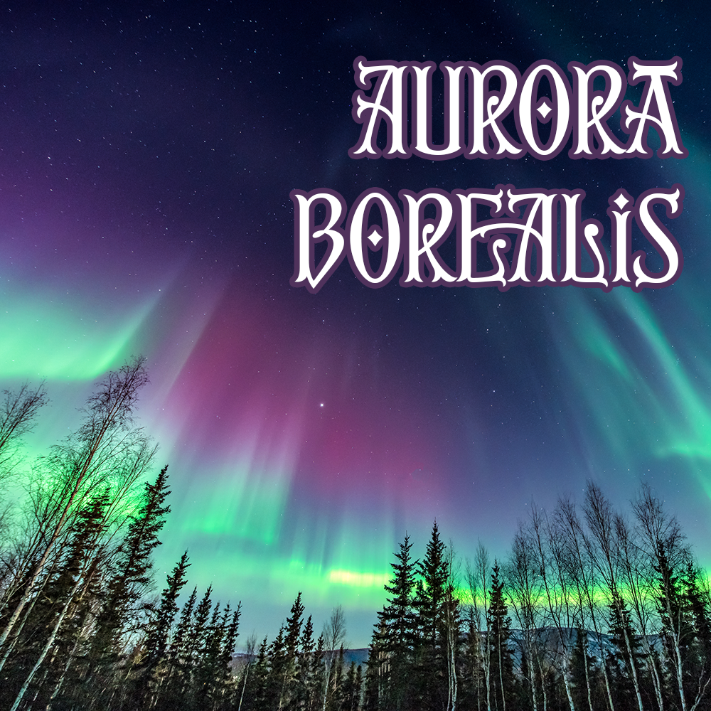 Winter Collection: AURORA BOREALIS