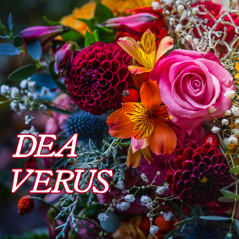 Favorites Collection: DEA VERUS