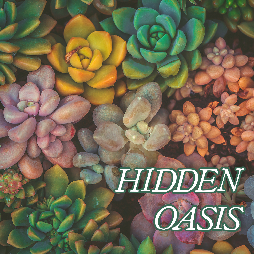 Favorites Collection: HIDDEN OASIS