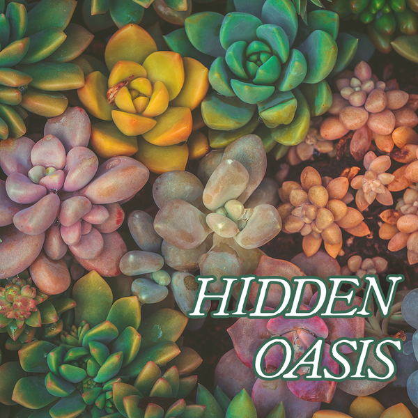 Favorites Collection: HIDDEN OASIS