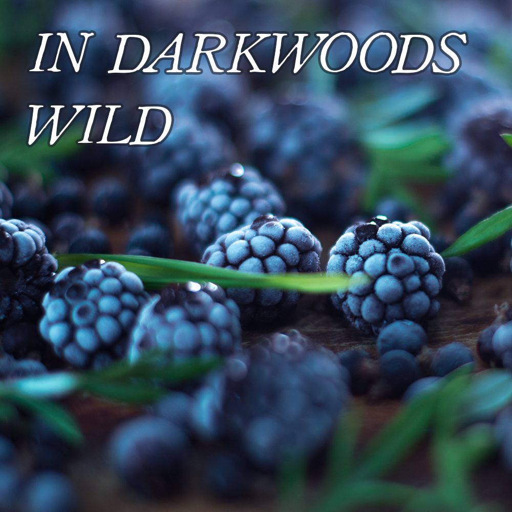 Favorites Collection: IN DARKWOODS WILD